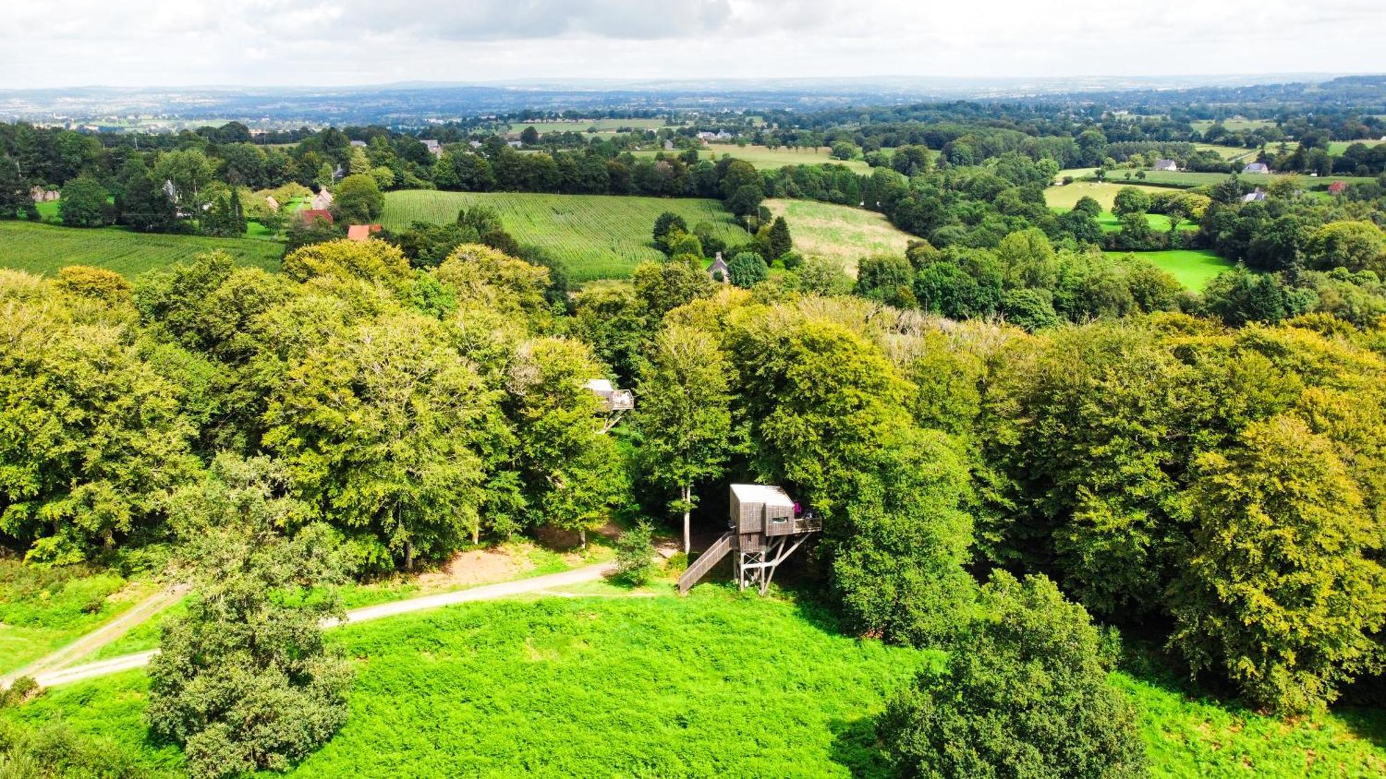 L'étape en forêt Saint-Sever-Calvados Exterior foto