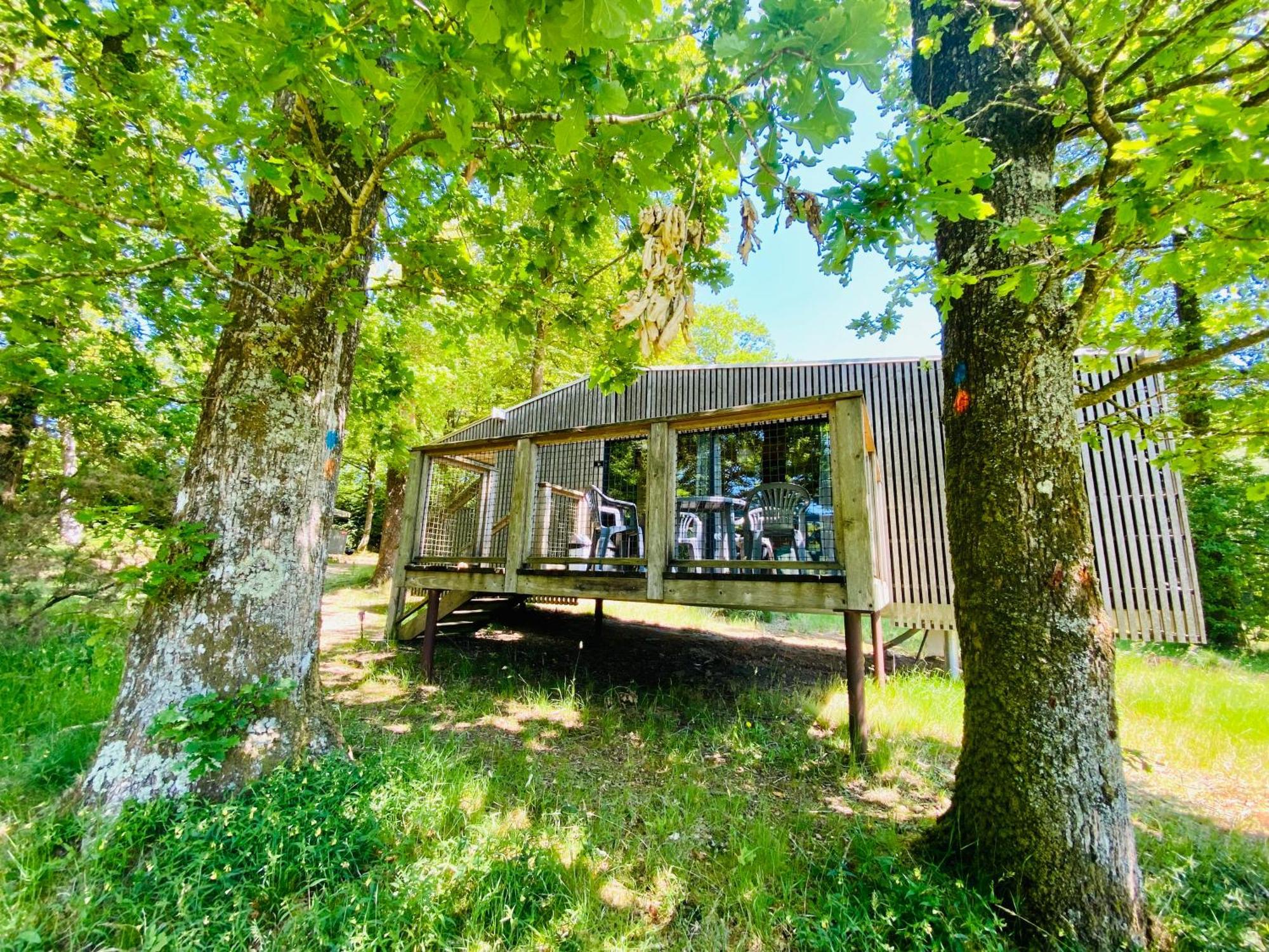 L'étape en forêt Saint-Sever-Calvados Exterior foto