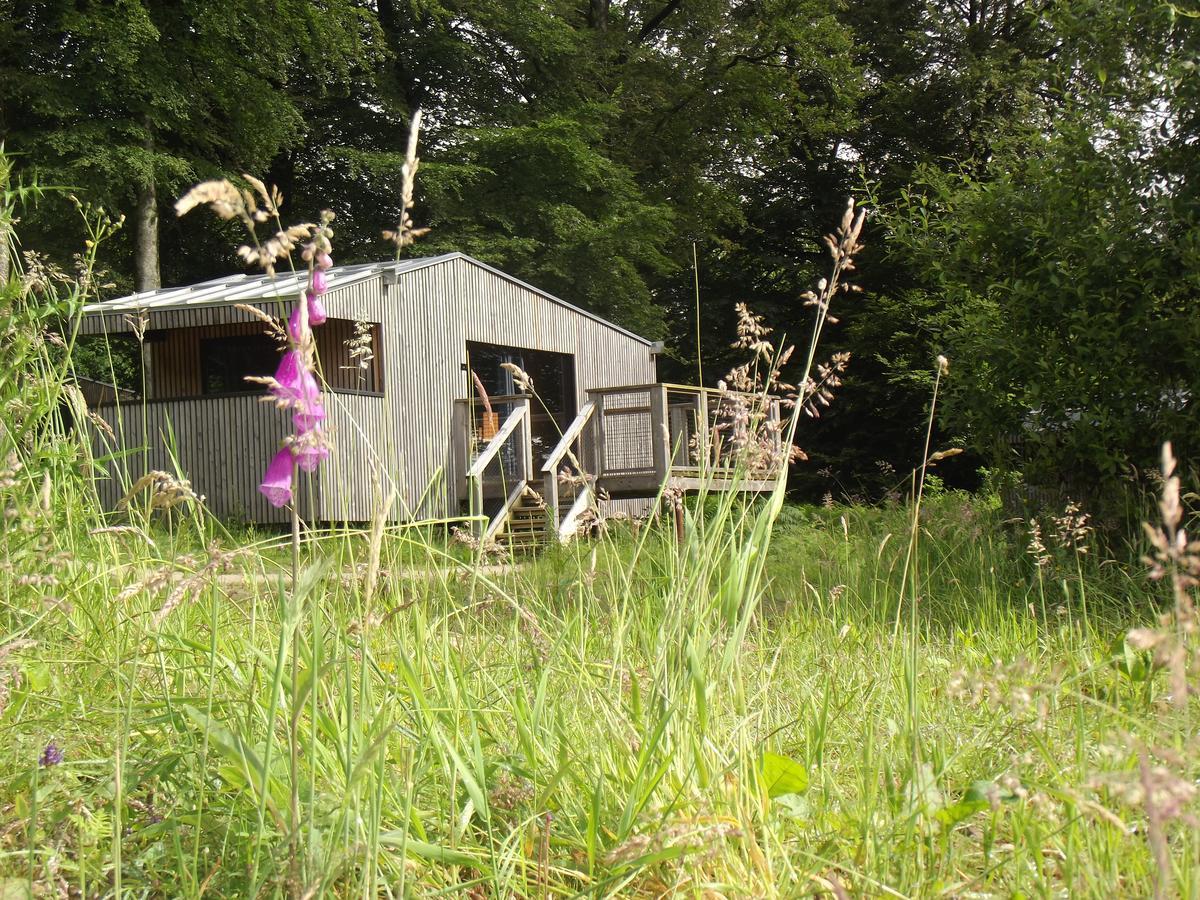 L'étape en forêt Saint-Sever-Calvados Exterior foto