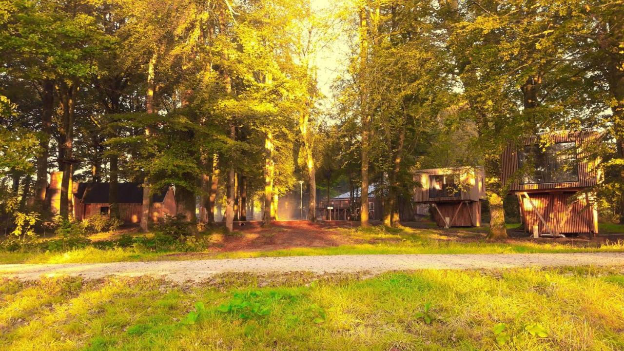 L'étape en forêt Saint-Sever-Calvados Exterior foto