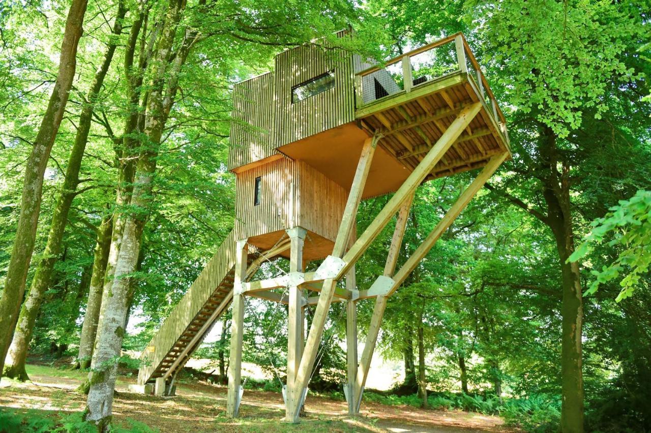 L'étape en forêt Saint-Sever-Calvados Exterior foto