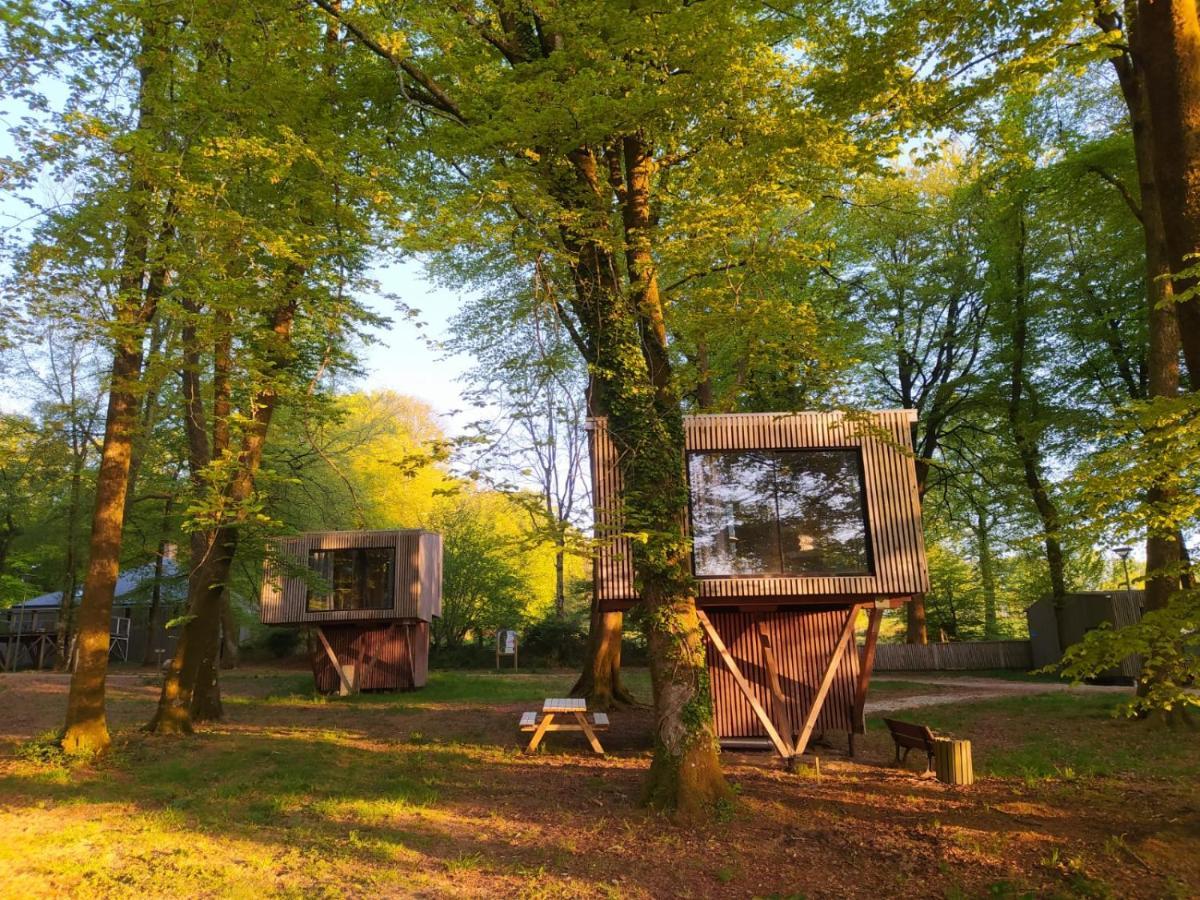 L'étape en forêt Saint-Sever-Calvados Exterior foto